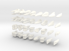Teeth Set in White Processed Versatile Plastic
