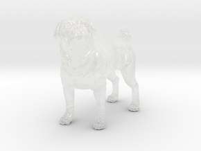 Pug 1:16 Standing Male in Clear Ultra Fine Detail Plastic