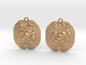 earrings in Polished Bronze
