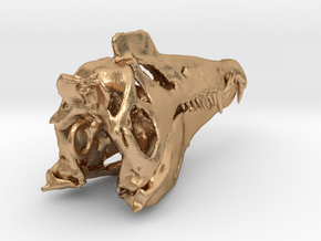Spinosaurus  Skull  in Natural Bronze