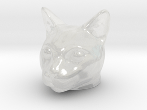 Cat Head in Clear Ultra Fine Detail Plastic