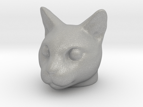 Cat Head in Aluminum