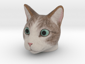 Cat Head in Natural Full Color Nylon 12 (MJF)