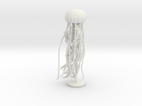 Sea Nettle Sculpture  in White Natural Versatile Plastic