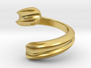 Normal Rotation Helix Ring in Polished Brass