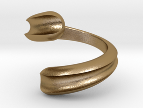 Normal Rotation Helix Ring in Polished Gold Steel