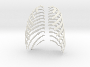 Left and Right Ribs, Male 18 in White Natural Versatile Plastic