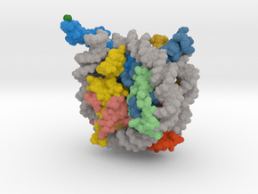 Nucleosome 1kx5 in Natural Full Color Nylon 12 (MJF): Extra Small