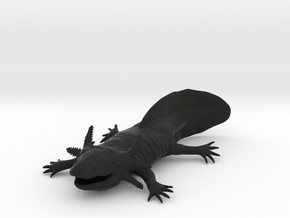 Axolotl high detail in Black Premium Versatile Plastic