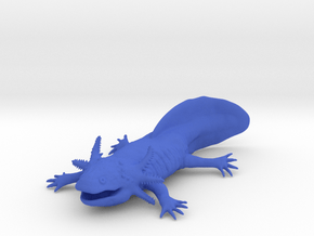 Axolotl high detail in Blue Smooth Versatile Plastic