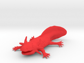 Axolotl high detail in Red Smooth Versatile Plastic
