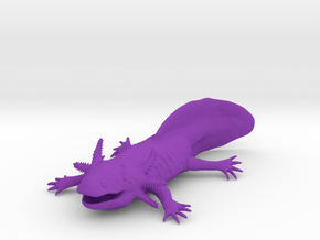 Axolotl high detail in Purple Smooth Versatile Plastic