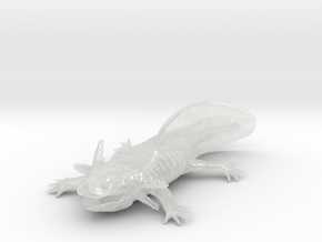 Axolotl high detail in Clear Ultra Fine Detail Plastic