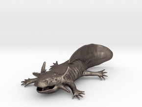 Axolotl high detail in Polished Bronzed-Silver Steel
