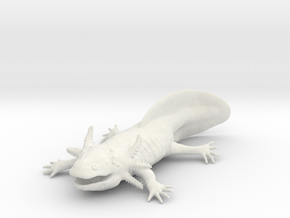 Axolotl high detail in PA11 (SLS)