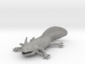 Axolotl high detail in Accura Xtreme