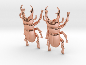 Smokey Beetle Earrings in Polished Copper