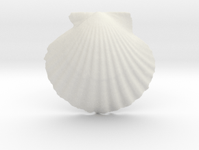 Scallop-reflection-x1.3 in White Natural Versatile Plastic
