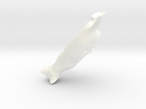 cat in White Processed Versatile Plastic