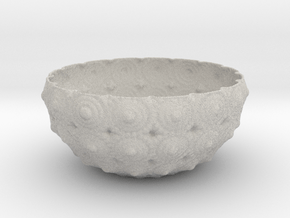 Bowl in Natural Full Color Sandstone