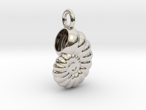 Seashell Pendant in Rhodium Plated Brass