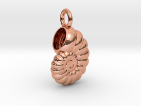 Seashell Pendant in Polished Copper
