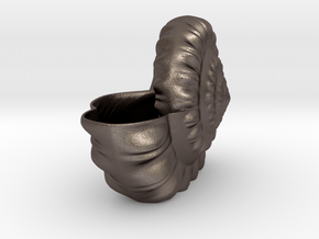 Shell Planter in Polished Bronzed-Silver Steel
