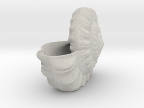 Shell Planter in Standard High Definition Full Color