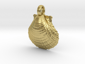 Scallop Shell in Natural Brass
