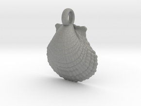 Scallop Shell in Gray PA12