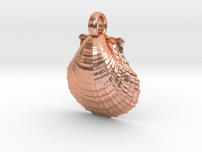 Scallop Shell in Natural Copper