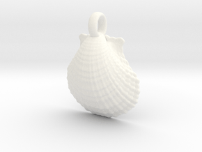 Scallop Shell in White Smooth Versatile Plastic