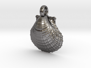 Scallop Shell in Processed Stainless Steel 17-4PH (BJT)