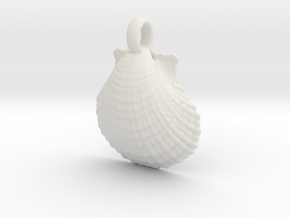 Scallop Shell in White Natural TPE (SLS)