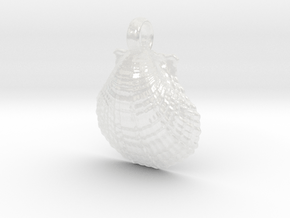 Scallop Shell in Clear Ultra Fine Detail Plastic