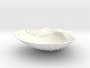 Scallop Shell in White Smooth Versatile Plastic