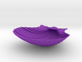 Scallop Shell in Purple Smooth Versatile Plastic