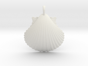 Scallop Shell in White Natural Versatile Plastic