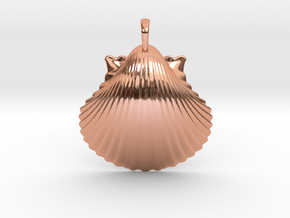 Scallop Shell in Polished Copper