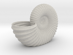 Shell Planter in Matte High Definition Full Color