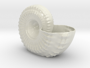 Shell Planter in Smooth Full Color Nylon 12 (MJF)