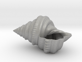 Shell Planter in Aluminum