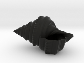 Shell Planter in Black Smooth PA12