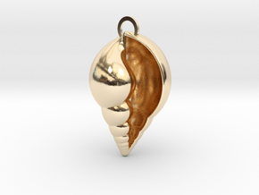 Lil shell pendant in 14K Yellow Gold