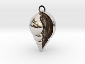 Lil shell pendant in Rhodium Plated Brass