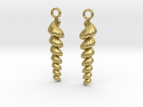 shelly earrings in Natural Brass
