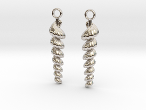 shelly earrings in Rhodium Plated Brass