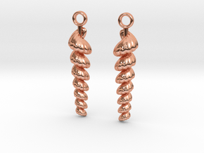 shelly earrings in Polished Copper