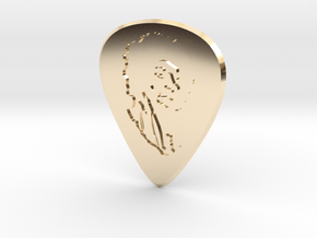 guitar pick_jimi in Vermeil