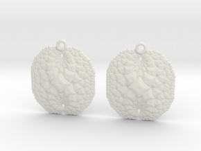 earrings in White Natural Versatile Plastic